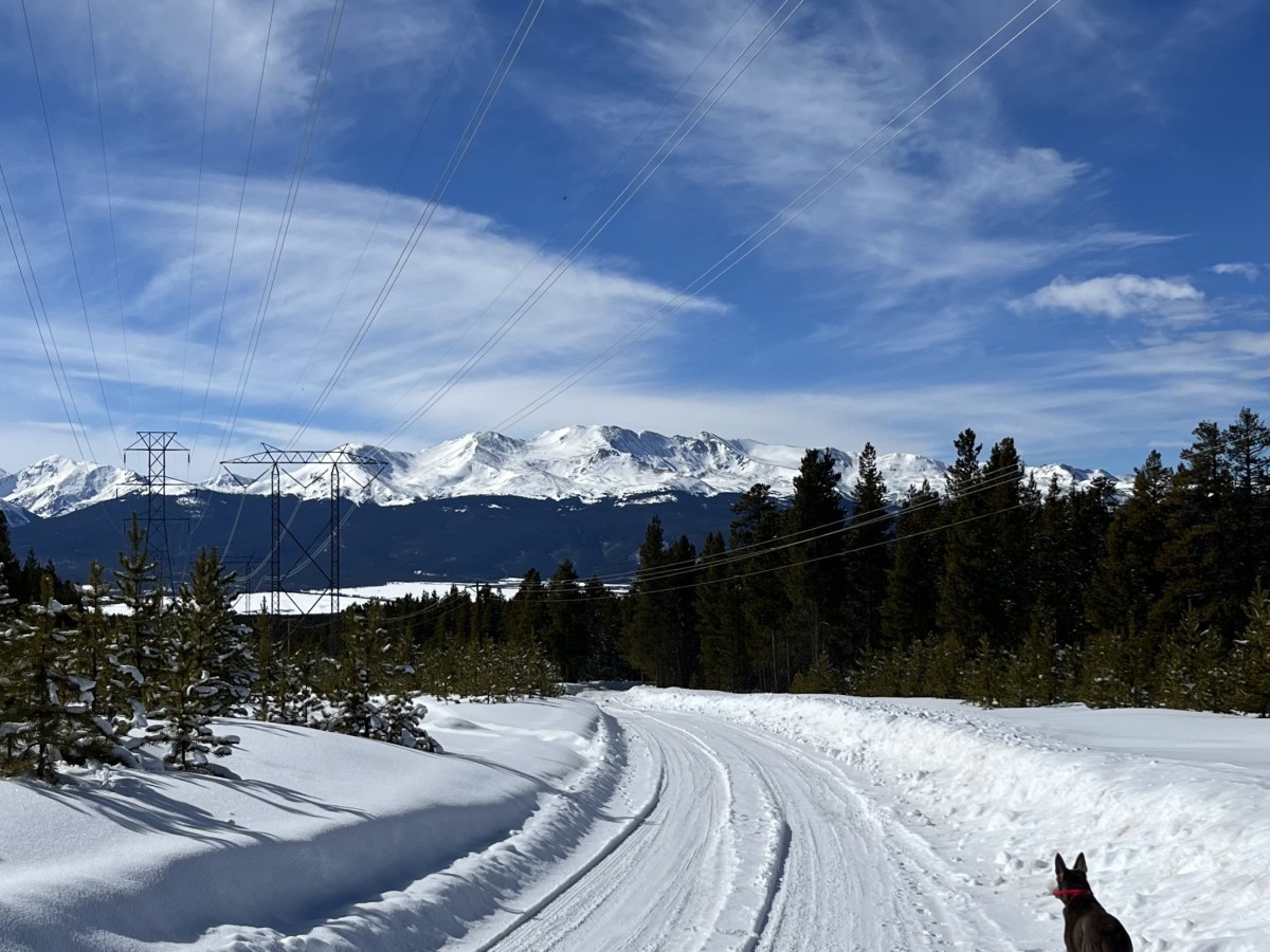 the sound of&nbsp;silence