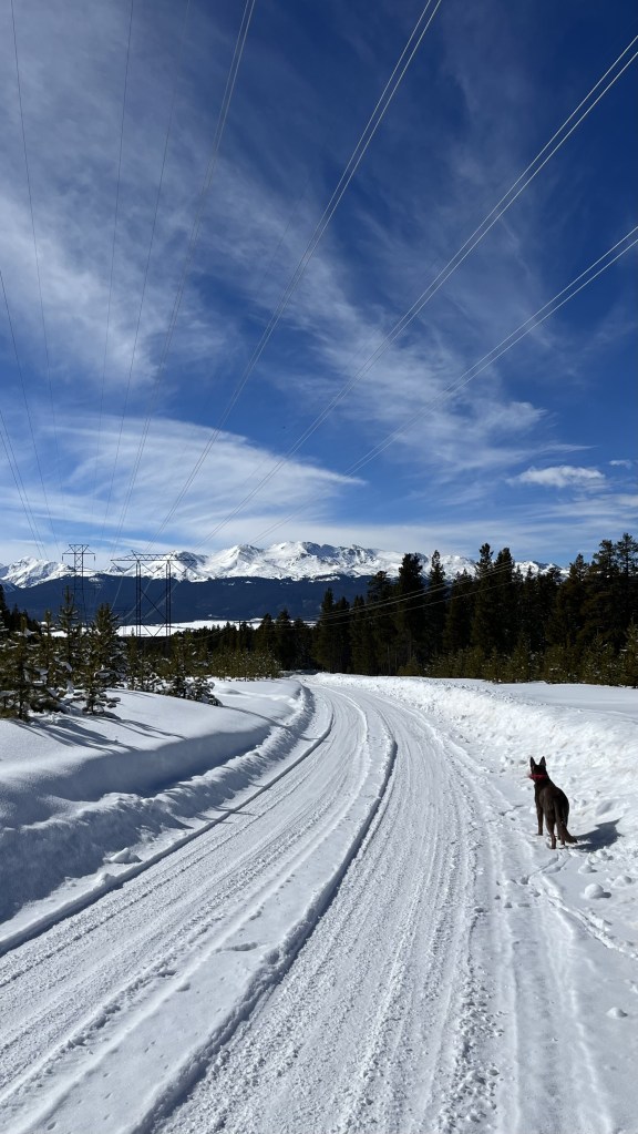 the sound of&nbsp;silence